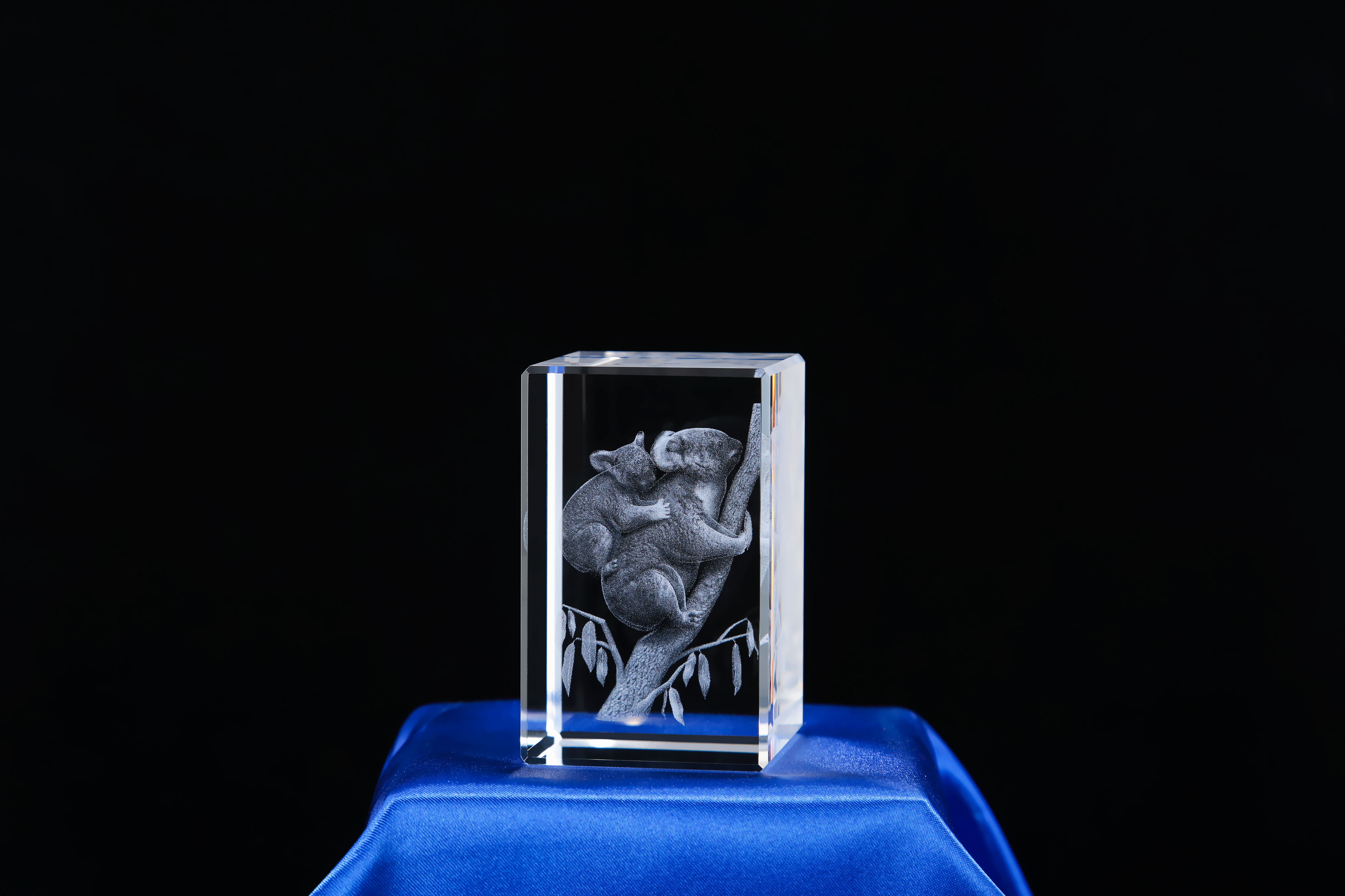 Crystal 3d laser koala souvenir gift manufacture
