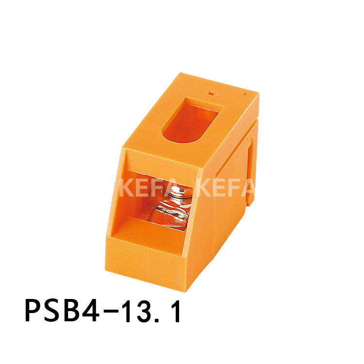 PSB4-13.1