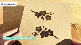 Easy Marking Laser Marking Machine for MDF -- Professional Laser Equipment Supplier