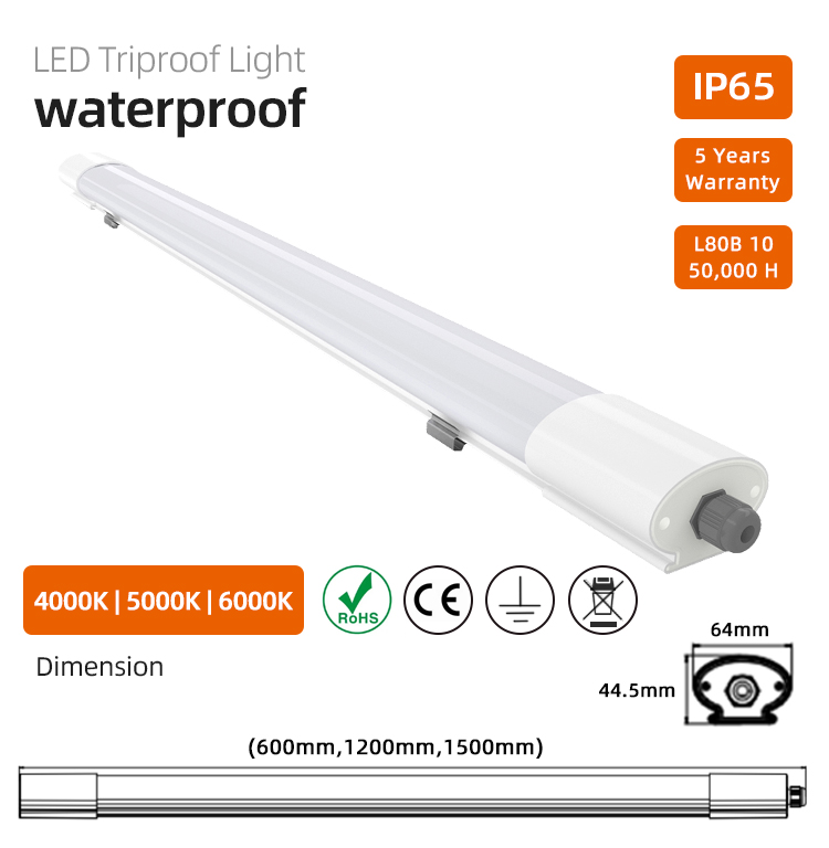TP019 details