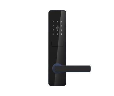 11.png