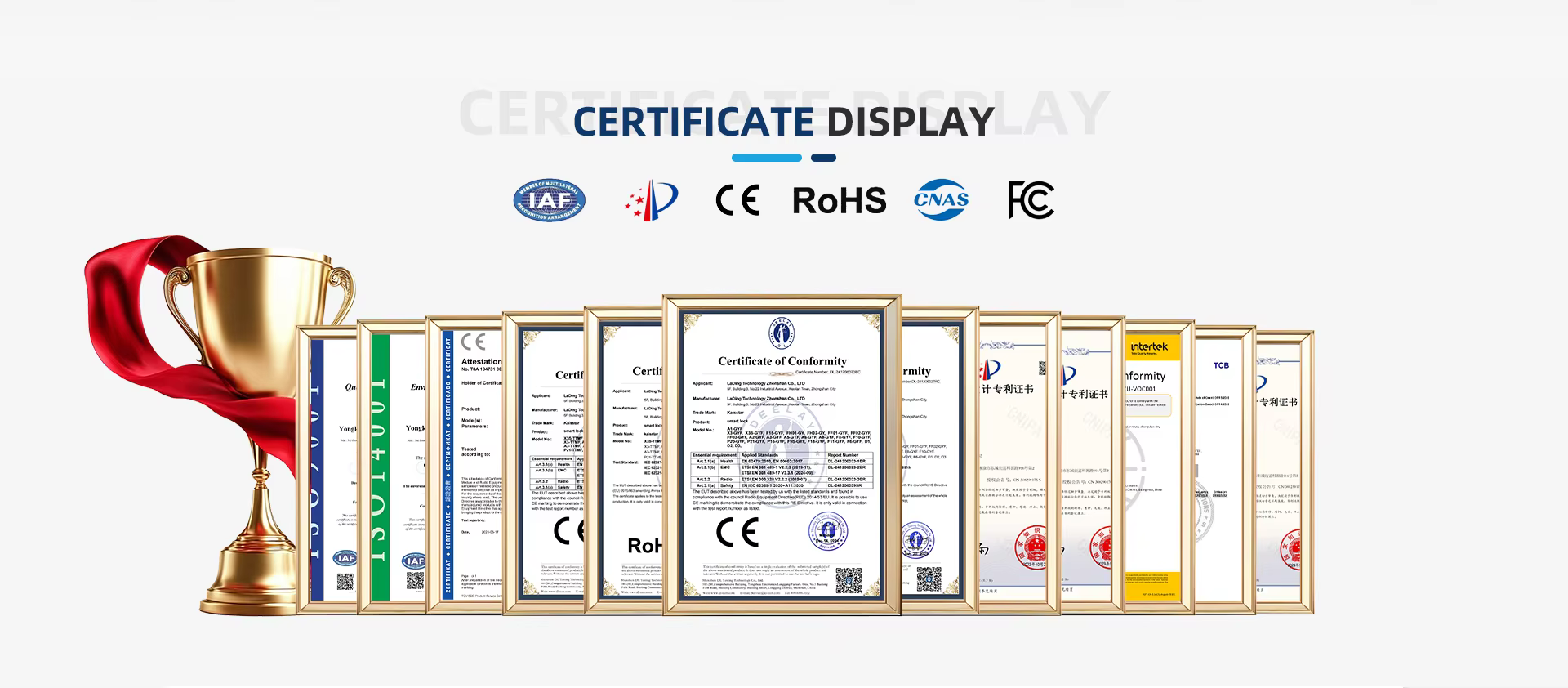 Company overview