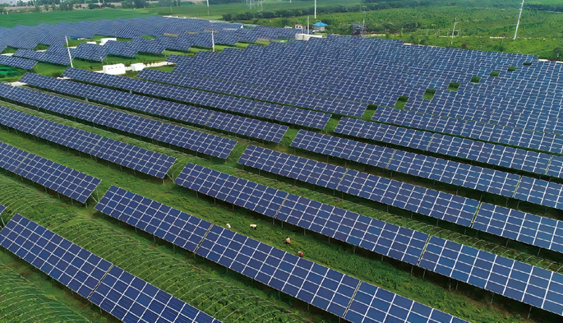 Generació d'energia solar integrada amb l'agricultura