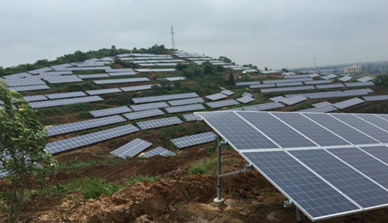 Central solar per a la reducció de la pobresa al jardí de te