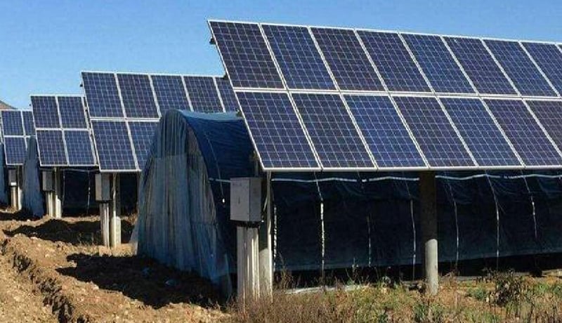projecte de generació d'energia agrivoltaica (agro-PV) de 60 MW
