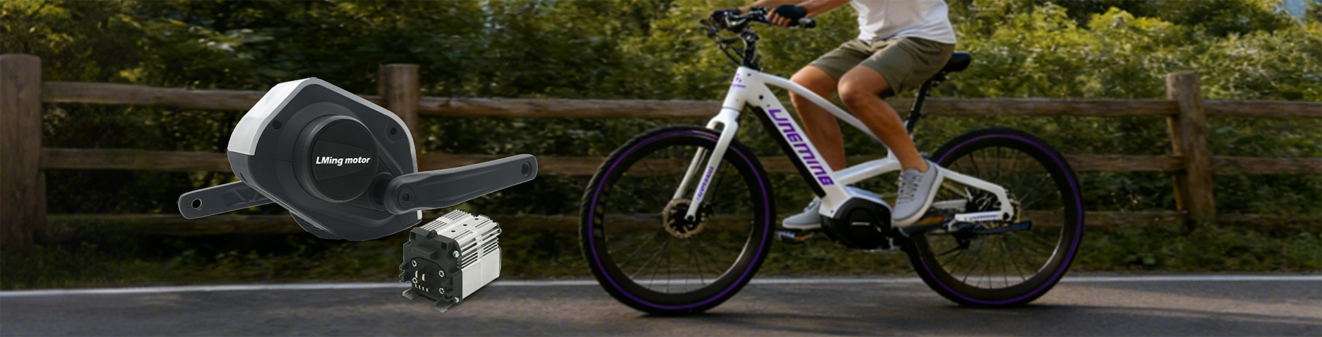 Electric Bicycles