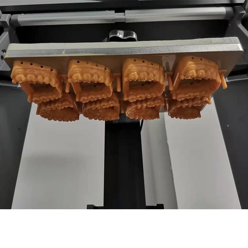 Uncovering the Process of Crocodile 3D Printing