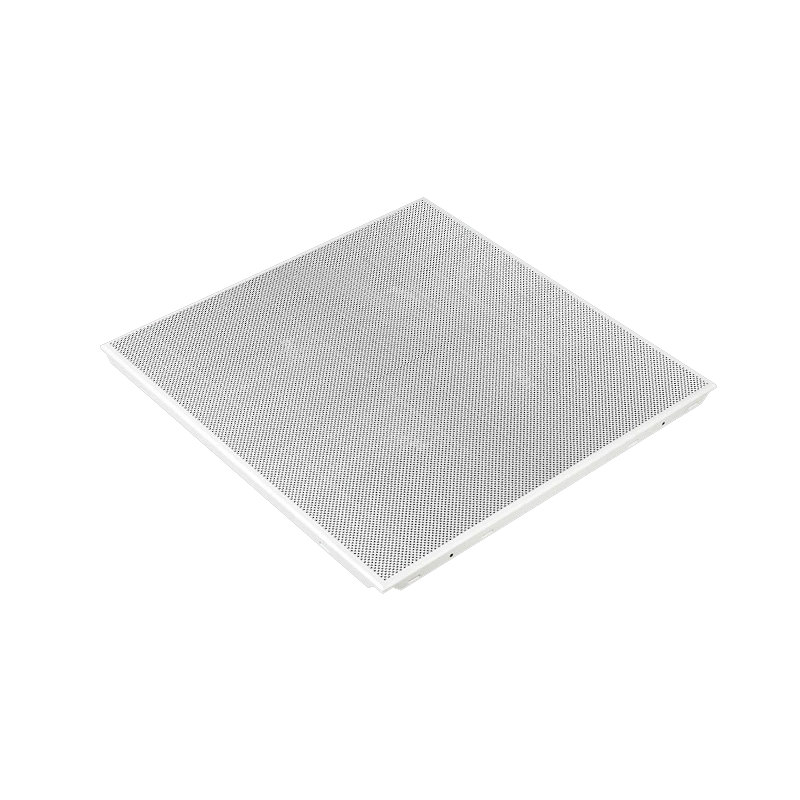 Clip In Ceiling