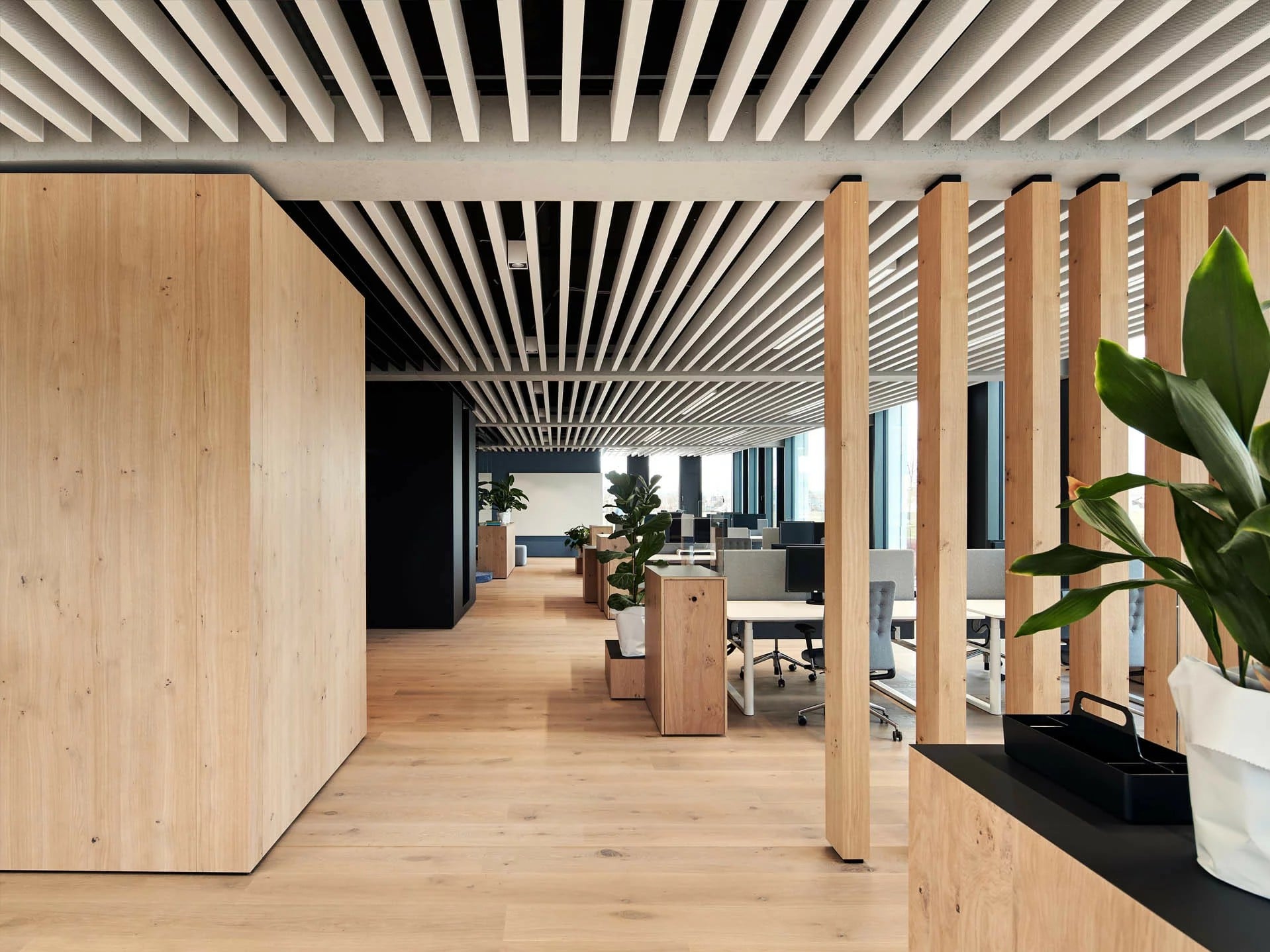 Extruded Baffle Ceiling (3).jpg