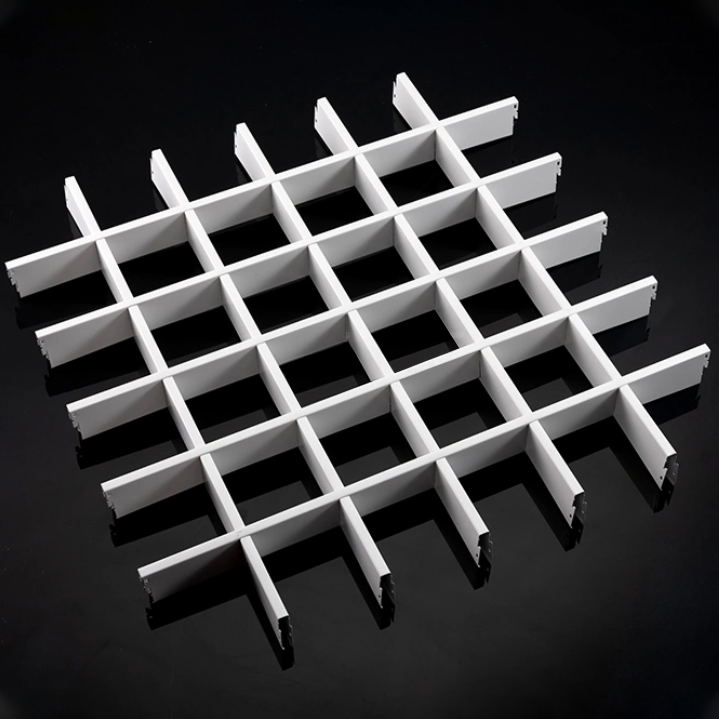 Metal Open Ceiling.png