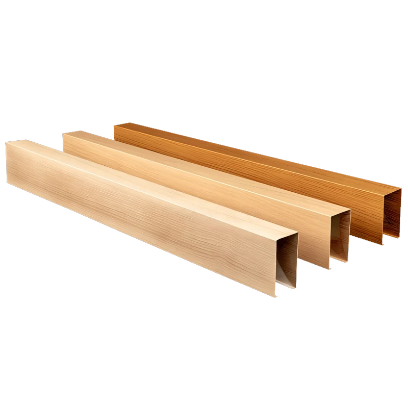 U Baffle Ceiling