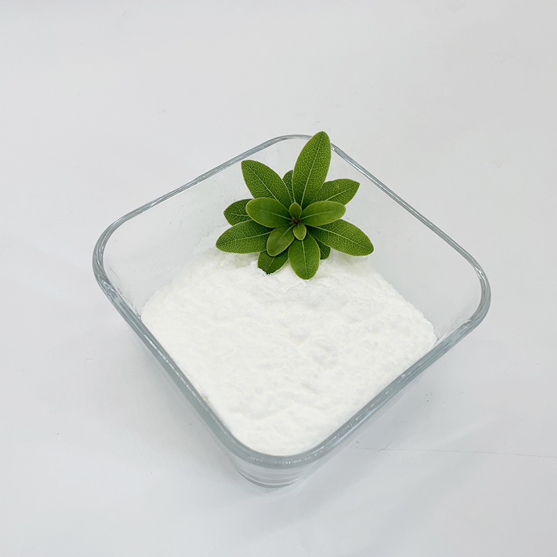 In depth analysis of the application of insoluble polyvinylpyrrolidone (PVPP)