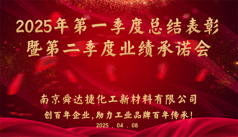 NANJING SUNDGE| 2025 first quarter summary and commendation conference ended successfully