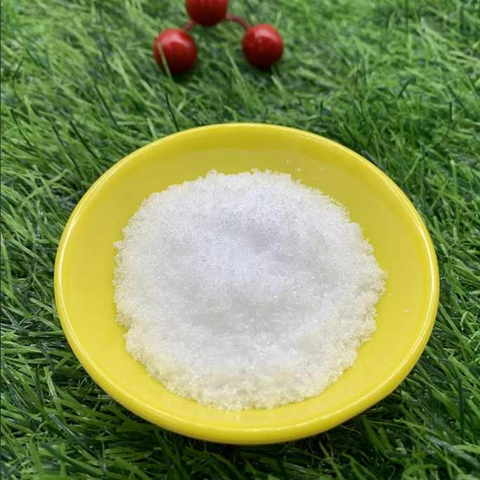 The Latest Trends in Using Xylitol for Oral Health Products