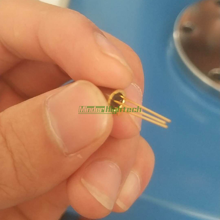 sample6.jpg