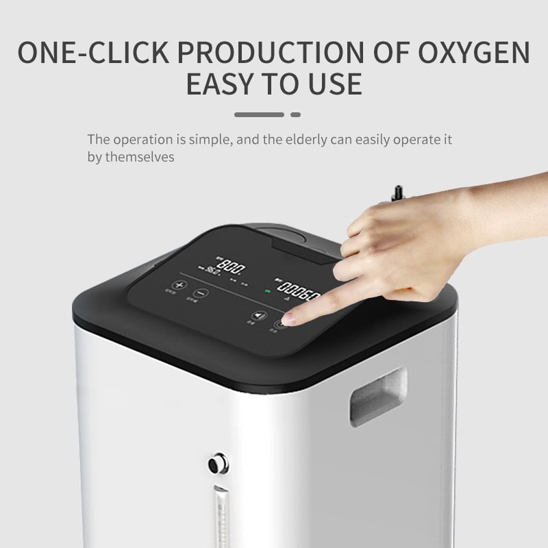 Dual flow 10L Oxygen Concentrator factory