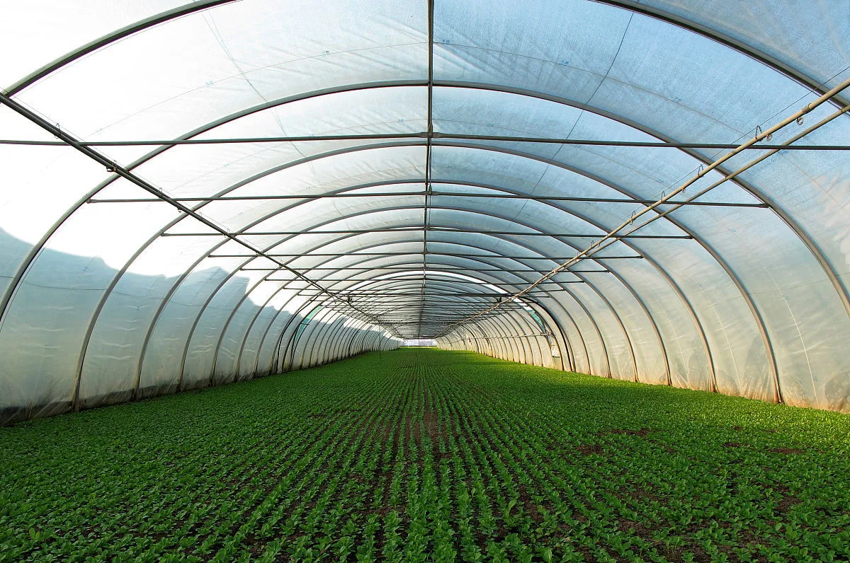 Hoe verminder indoor-boerdery die afhanklikheid van tradisionele landbougrondbronne