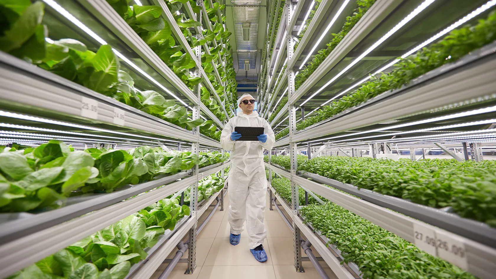 Hoe ondersteun vertikale boerdery jaarlikse verbouingdoeltreffendheidstelsels