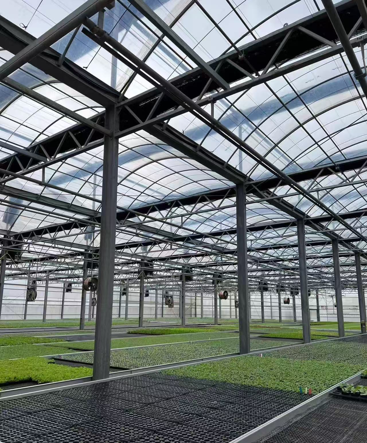 Hoe verbeter indoor-boerdery die jaarlikse stabiliteit van voedselproduksie