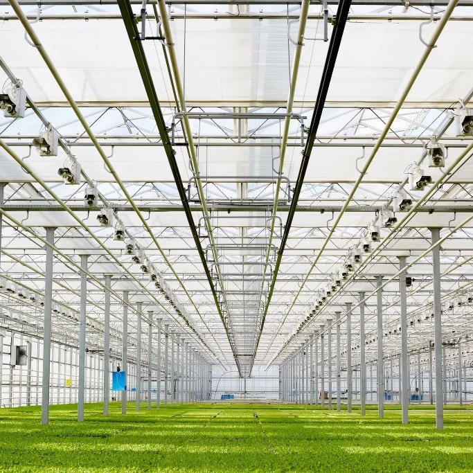 Mga Makina sa Vertical Farming, Pagtatanim sa Greenhouse at Hydroponics: Ang Pagbabago sa Hinaharap ng Agrikultura