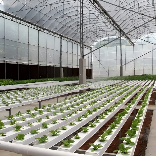 Hydroponic Vertical Farming: Pagpapalakas sa Mga Legal na Merkado ng Pagtatanim sa Buong Mundo
