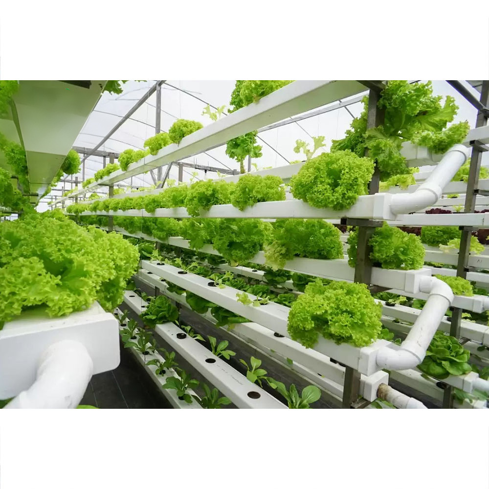 Como a torre hidropônica melhora a densidade de plantio vertical em sistemas agrícolas com espaço limitado