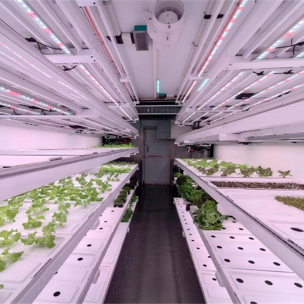 Mga Lalagyan sa Pagtatanim: Pagbubukas ng Bagong Mga Posibilidad para sa Smart Agriculture, Paglikha ng Epektibong at Maaaring Ilipat na Espasyo sa Pagtatanim