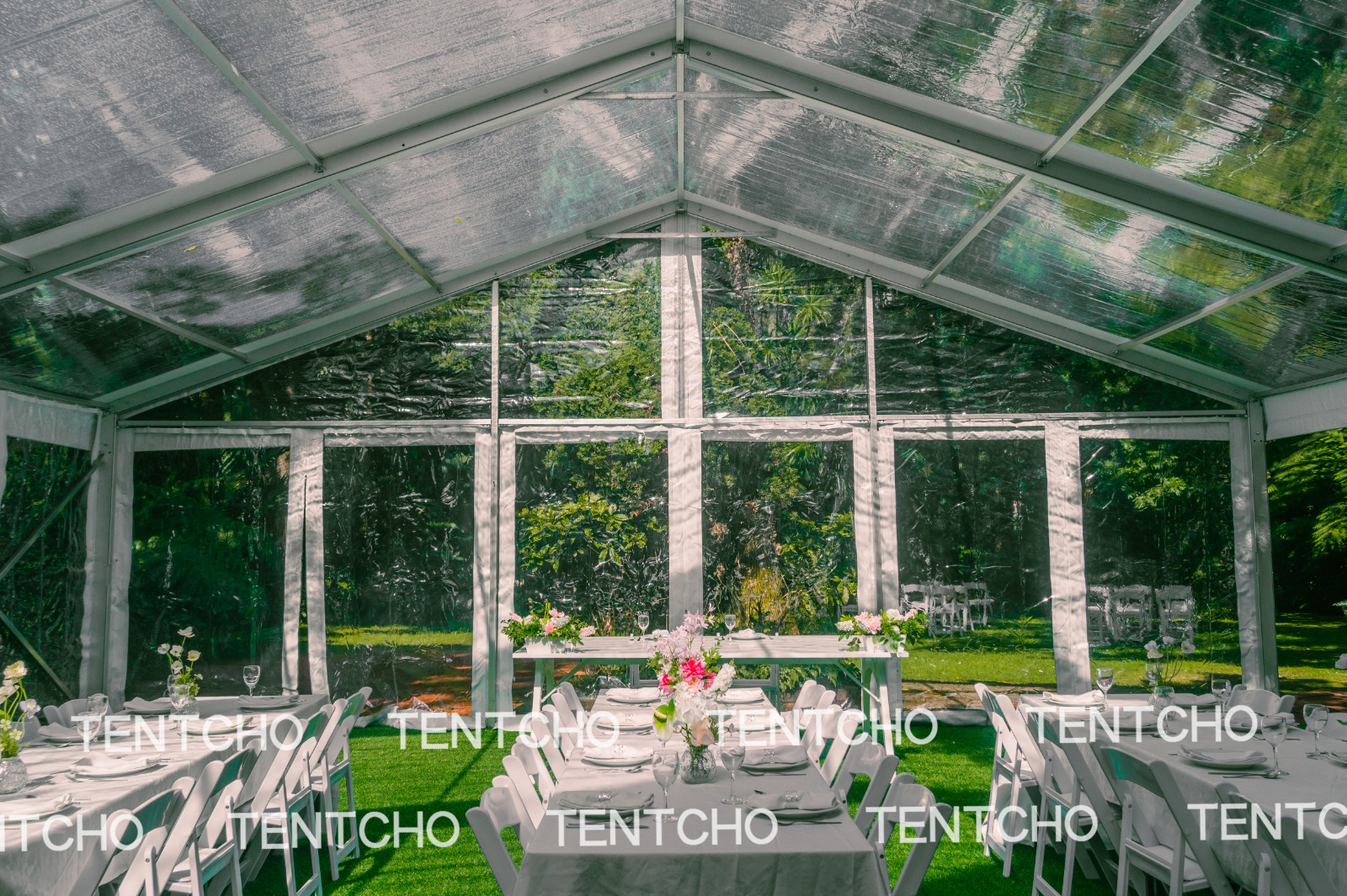 234.jpg