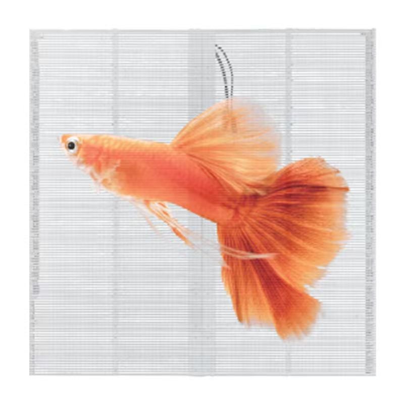 Outdoor Waterproof Transparent Screen