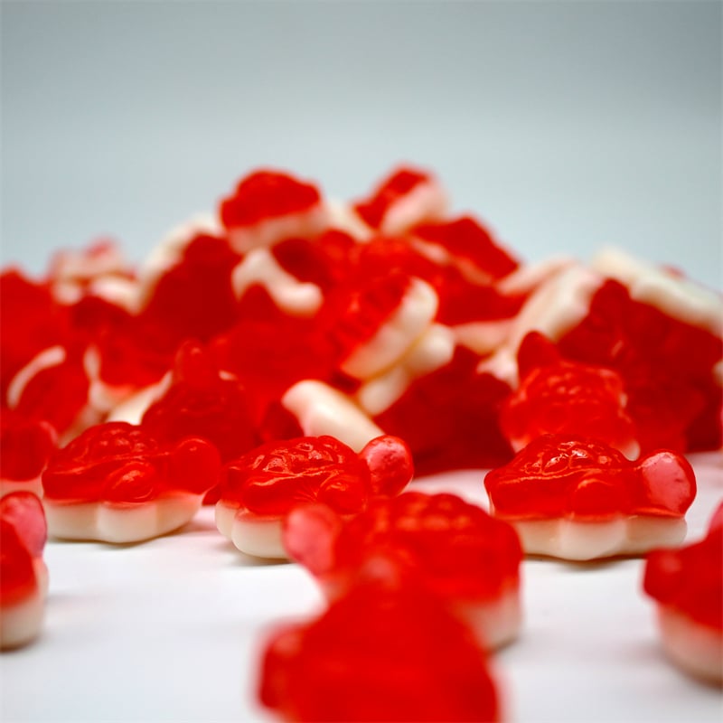 Gummy & Tortoise Pie Soft Candy Sweets