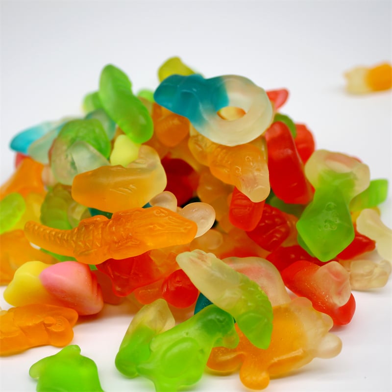 Gummy & Animals Soft Candy Sweets