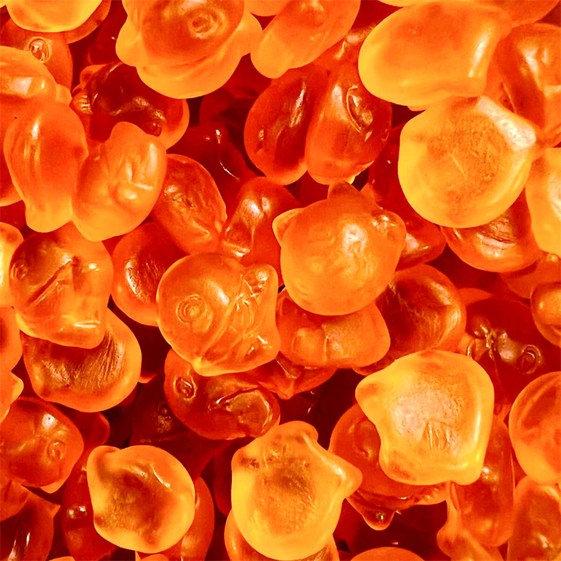Gummy & Fish