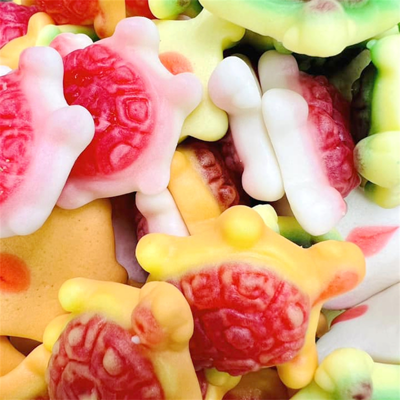 Gummy & Turtle