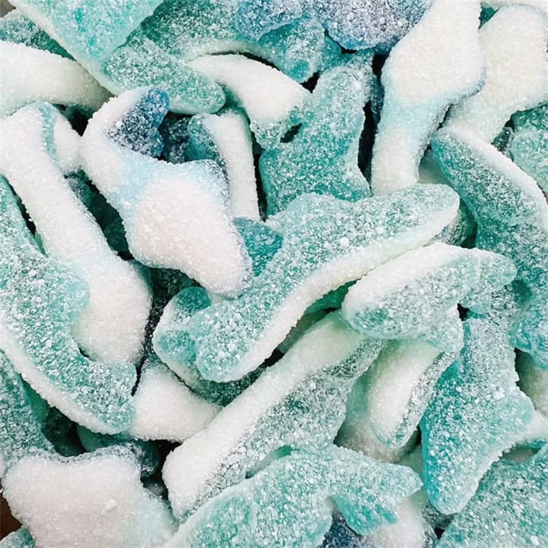 Gummy & Dolphin