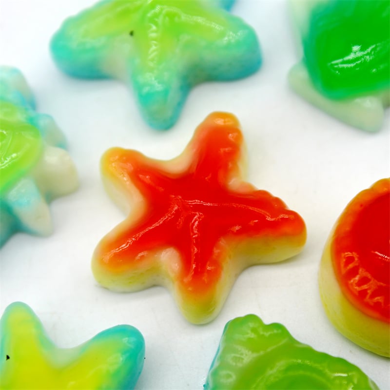 Gummy & Starfish Soft Candy Sweets