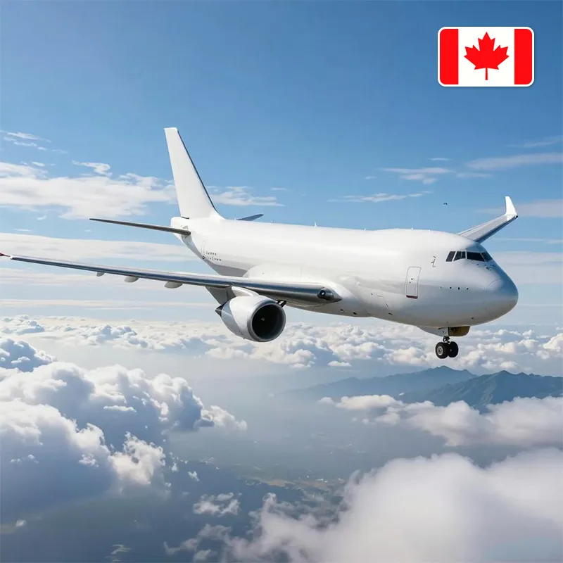 Quali sono i vantaggi del trasporto aereo per le consegne di merci sensibili ai tempi?