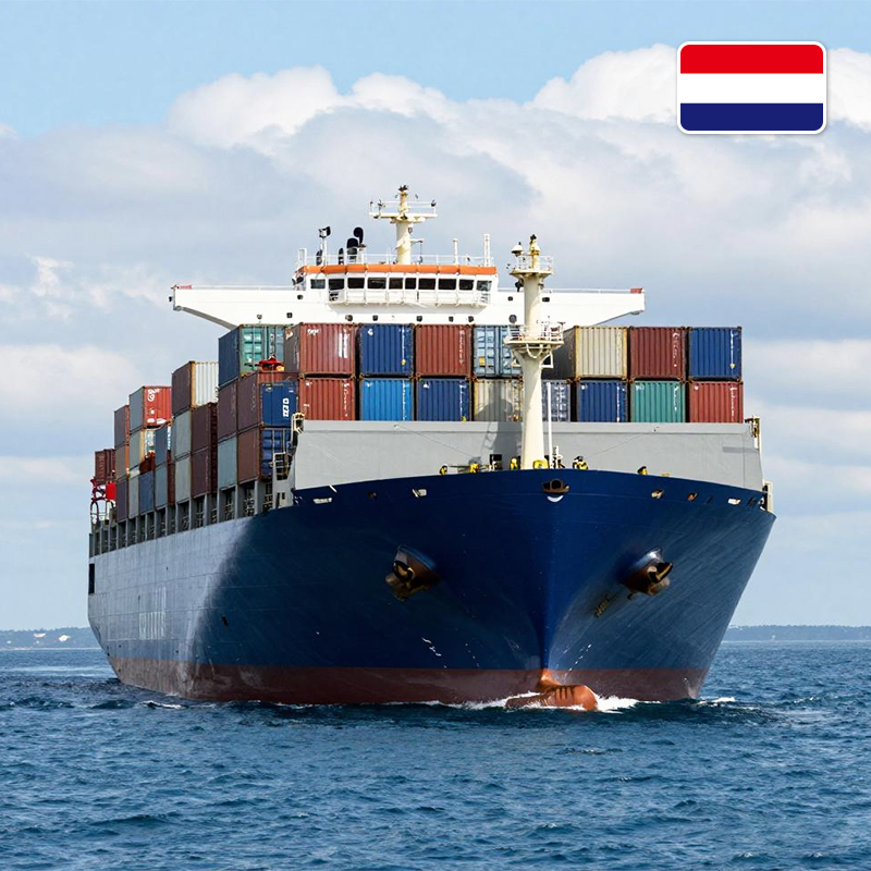 sea freight china to Netherlands freight forwarder