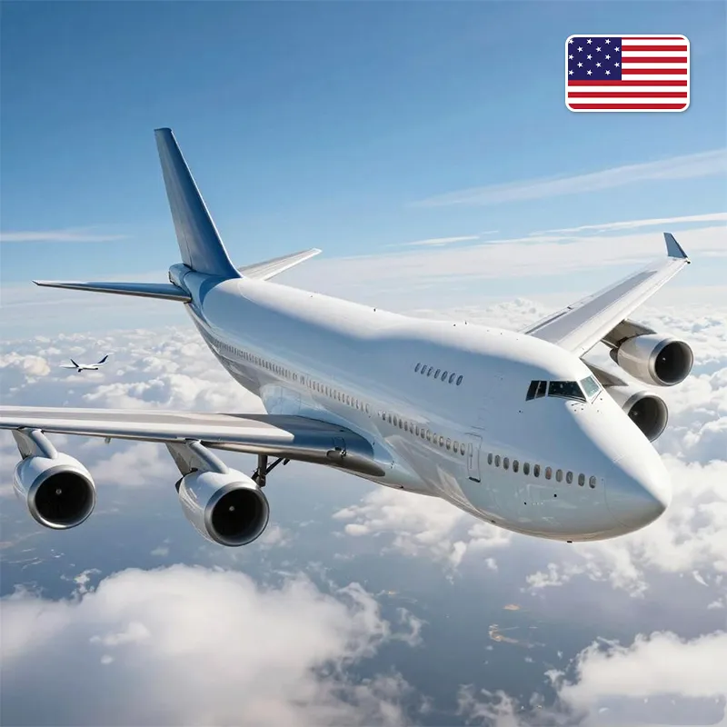 Come selezionare i servizi di trasporto aereo per ordini internazionali urgenti?