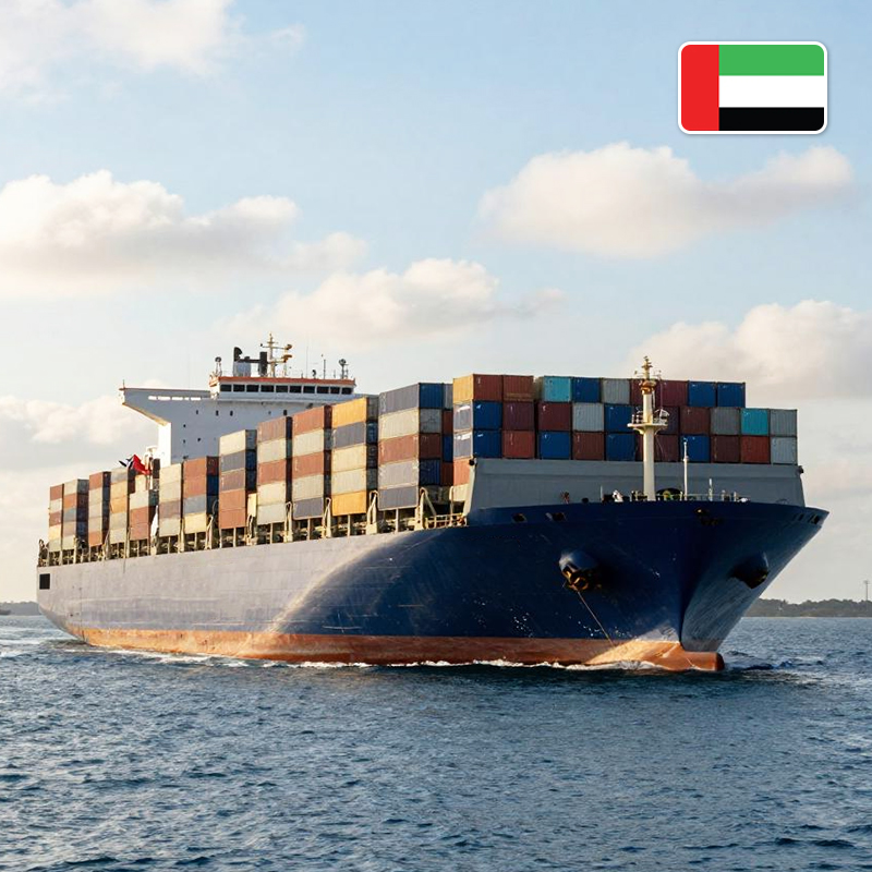 chinese freight forwarder sea shipping cost china to DDP dubai