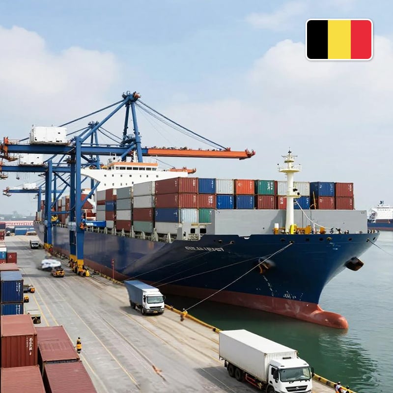 sea freight door to door shipping Belgium