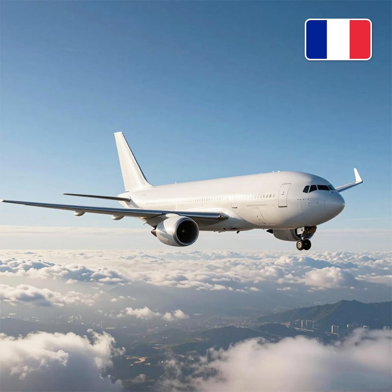 air express shipping to FR agent in china