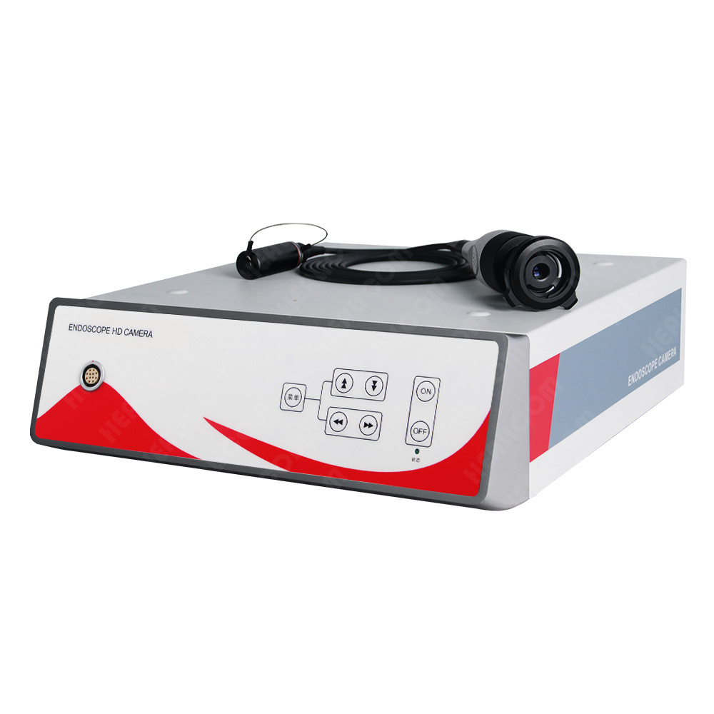 How Does a Veterinary Endoscope Help in Animal Disease Diagnosis and Treatment?

