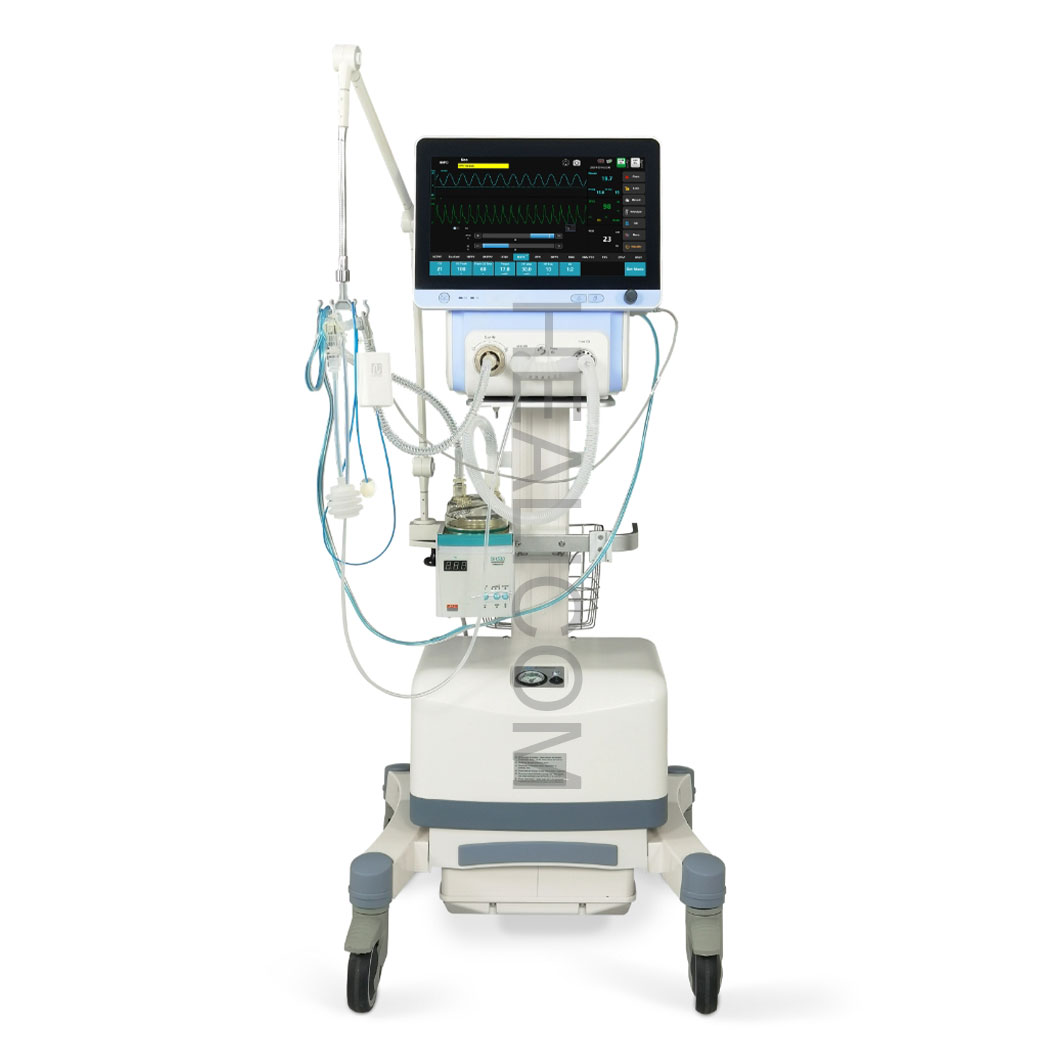 How Does a Veterinary Ultrasound Differ from a Human Medical Ultrasound?
