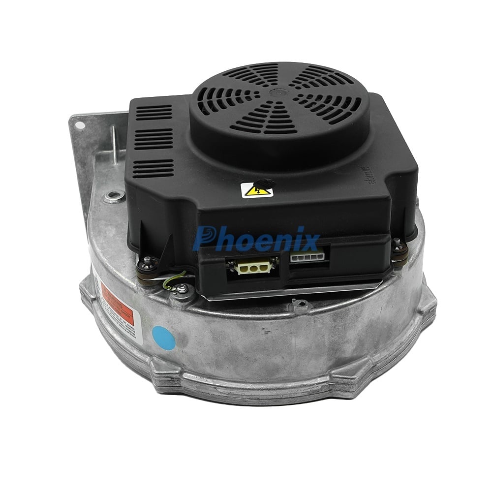 6(f978ef4d99).jpg
