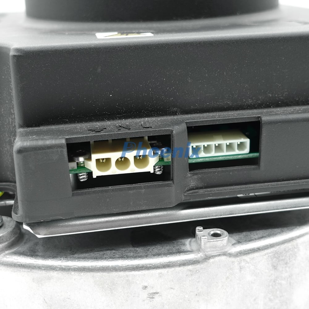 4(9f6068186a).jpg