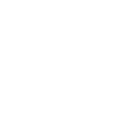 PROFESSIONAL