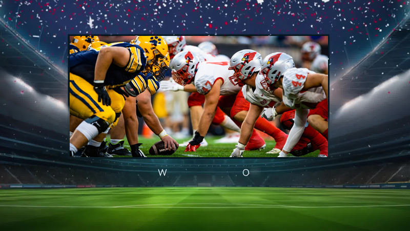 Stadium Led Display Screen Solution