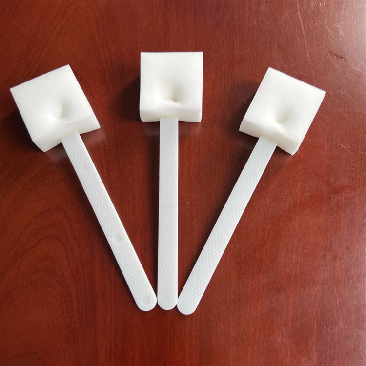 Cleaning Sponge Brush 02.jpg