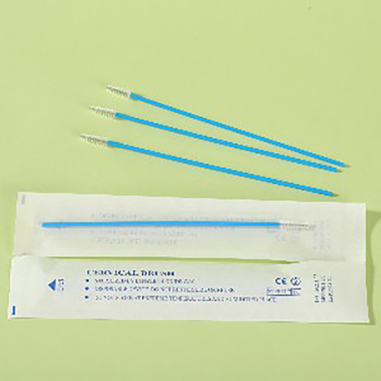 Gynecological Sampling Brush (2).jpg