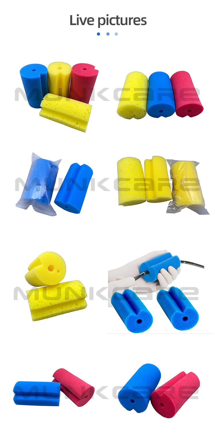 Endoscope Cleaning Sponge (1).jpg